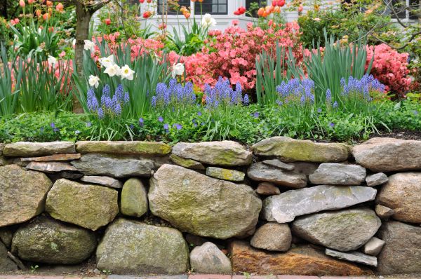Stone Wall Hardscaping in Iowa City
